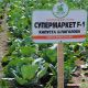 Супермаркет F1 насіння капусти б/к пізньої (Lucky Seed )