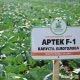 Капуста білоголова Артек F1
