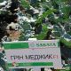 Грин Меджик F1 семена капусты брокколи ранней 60-65 дн. 0,5-0,8 кг (Sakata)