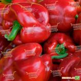 Алмиранте F1 насіння перцю солодкого ранній (Enza Zaden)