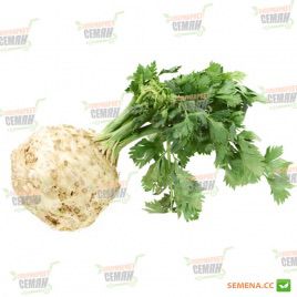 Аполло семена сельдерея корневого (Wing Seed)