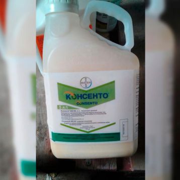 Консенто фунгицид концентрат суспензии (Bayer)