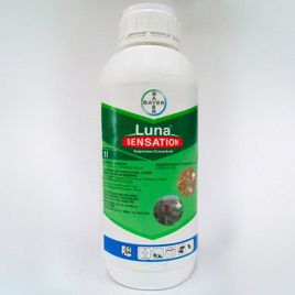 Луна Сенсейшен фунгіцид (Bayer)