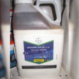 Біскайя інсектицид (Bayer)