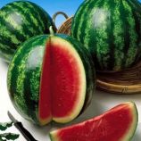 кавун ау продюсер (hollar seeds)