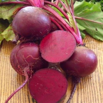 Детройт семена свеклы столовой 110 дн. окр. (Wing Seed)