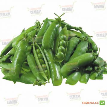 Макси Голд семена гороха овощного (Agri Saaten)