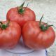 1625 F1 семена томата индет. раннего 95 дн. 250-300 гр. роз. (Lark Seeds)