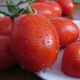 Санни F1 семена томата дет. (Lark Seeds)