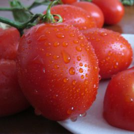 Санни F1 семена томата дет. (Lark Seeds)