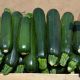 Базальт F1 семена кабачка 43 дн. темно-зел. (Lark Seeds) 