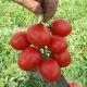 Грандо F1 семена томата дет. (Lark Seeds)