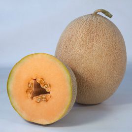 КС 6147 (KS 6147) F1 семена дыни тип Ананас 65-70 дн. 2-2,5 кг ов. (Kitano Seeds)