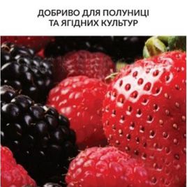 Для клубники и ягодных культур минеральное удобрение 