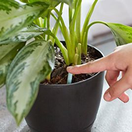 Для цветов минеральное удобрение (Деметра)