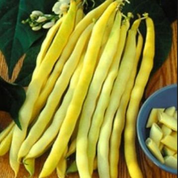 фасоль лаурина