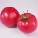 КС 1205 (KS 1205) F1 семена томата индет. раннего окр.-прип. розового 250-300г (Kitano Seeds)
