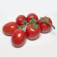 КС 3819 F1 (KS 3819 F1) семена томата индет. раннего слив. 100-120г (Kitano Seeds)