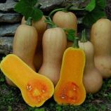 гарбуз арахісове масло