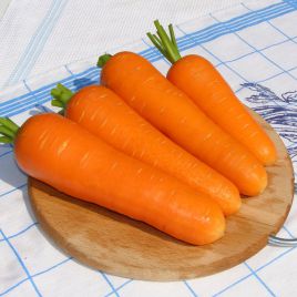Виктория F1 семена моркови Шантане (Seminis)