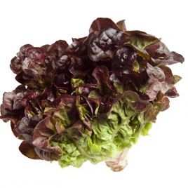 салат ред курл