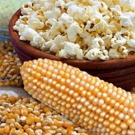 кукурудза поп корн 
