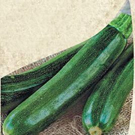 кабачок аеронавт