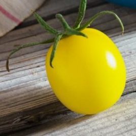 Золота куля насіння томата (Професійне насіння)