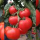 Ноэми F1 семена томата индет. (Esasem) 