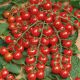 Мини семена томата индет. черри (Semo)