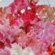 Джессика Mix семена душистого горошка (Kitano Seeds)
