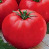 Леди Совершенство семена томата дет. (Euroseed)