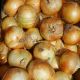 Рефлекс F1 насіння цибулі ріпчастої озимої (Cora Seeds)
