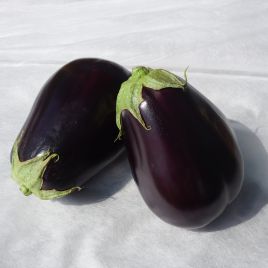 Сара F1 (Sara F1) семена баклажана тип Клоринда раннего 83-90 дн. 1200 г 25 см овал. (Cora Seeds)