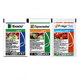 Энжио 3,6мл инсектицид + Проклейм 4гр. инсектицид + Ревус Топ 6мл. фунгицид