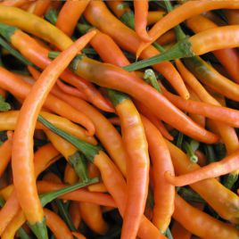 Килиан семена перца горького тип Чилли среднего 70-80 дн. удлинен. 9см зел/оранж. (Semo)