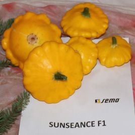 Сандес F1 семена патиссона (Semo)