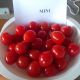 Мини семена томата индет. черри (Semo)