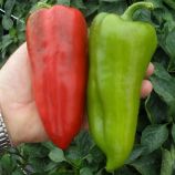 Радуза F1 семена перца сладкого (Semo)