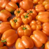 Орени F1 семена перца сладкого (Semo)