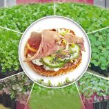 Капуста красная семена микрозелени (Seedera)