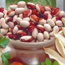 Красная шапочка семена фасоли кустовой красной с белым (Seedera)