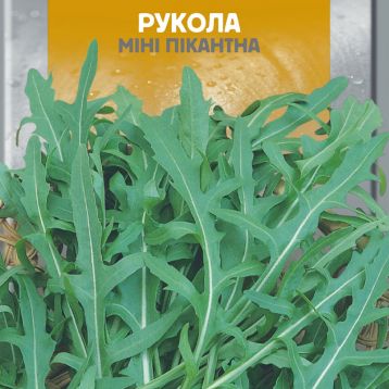 Мини Пикантная семена рукколы (Seedera)