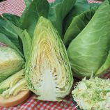 Экспресс семена капусты конической ранней 0,8-1,5 кг (Hortus)