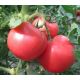 1804 F1 семена томата индет. раннего 100дн. окр. 200-220гр. роз. (Lark Seeds)
