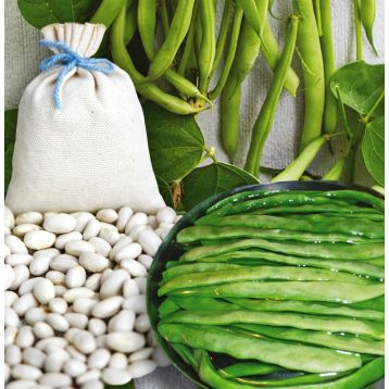 Маркони семена фасоли спаржевой плосколопатковой зел. (Hortus)