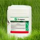 Эстерон гербицид концентрат эмульсии (Syngenta)