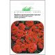 Вербена гибридная красная (red) семена однол. (W.Legutko)