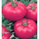 Рожеві Щічки насіння томату раннього (Яскрава)