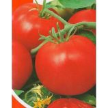 Флора семена томата дет. среднего 100-110 дн. 100 гр. окр. (Яскрава)
